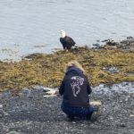 Guest taking a picture of a bald eagle at Guests fishing on boat at Kodiak Raspberry Island Lodge